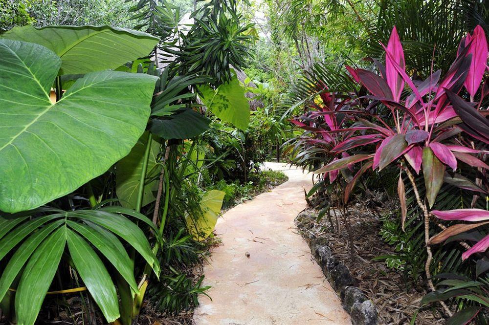 Bed & Breakfast Casa Don Diego