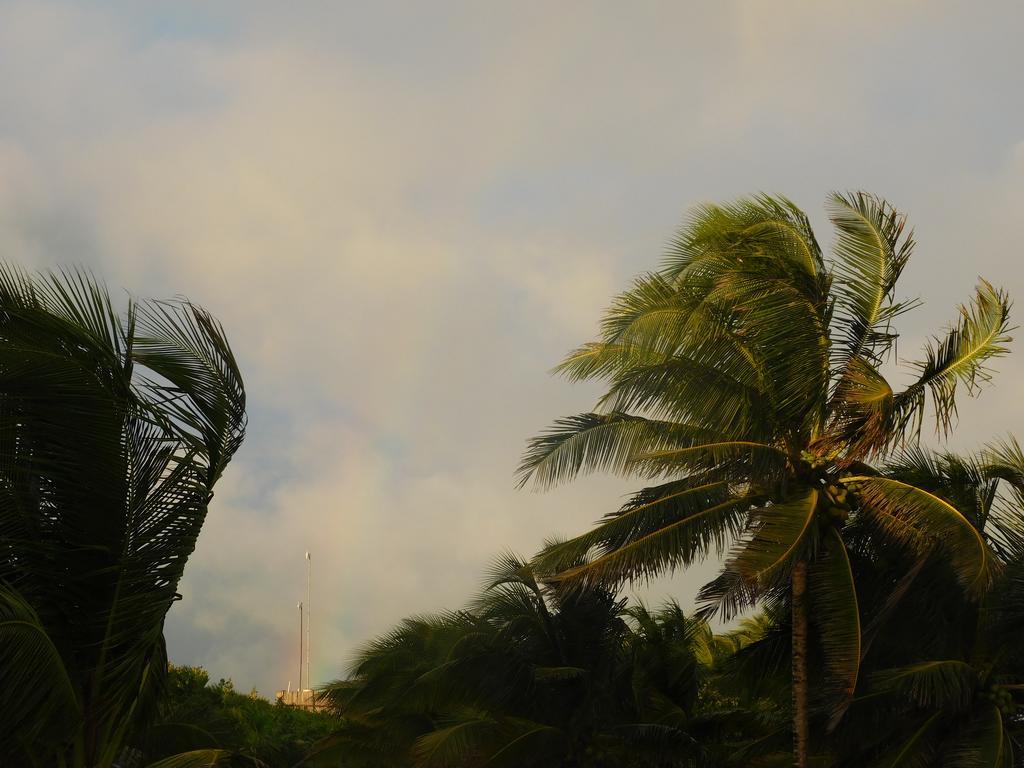 Playa Palmas * Tulum