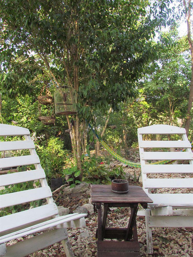 Casa Chachalaca *