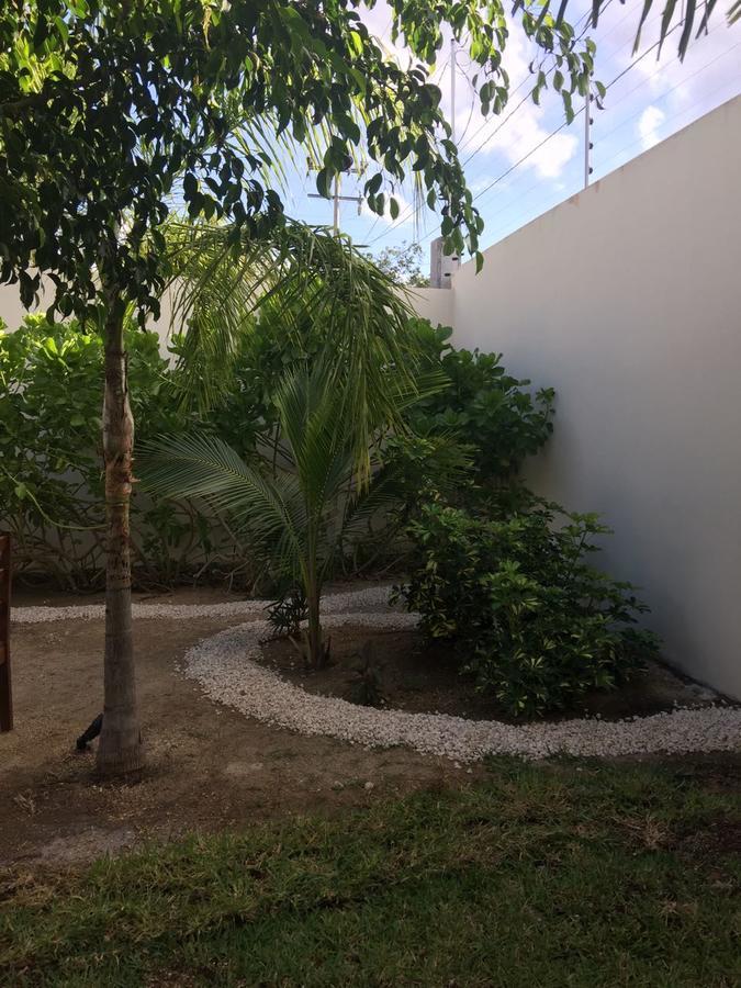 Casa Agave Pousada *