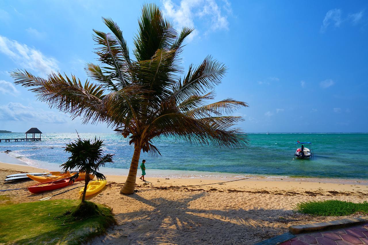 Bed & Breakfast Casa Cenote Tulum