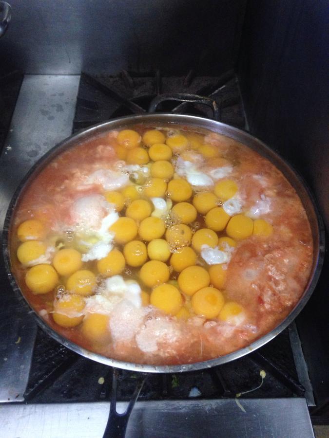 Casa Del Sol Hostel Tulum