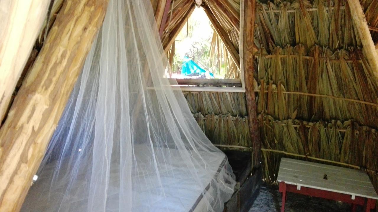 Alojamento Revolucion Pancho Tulum