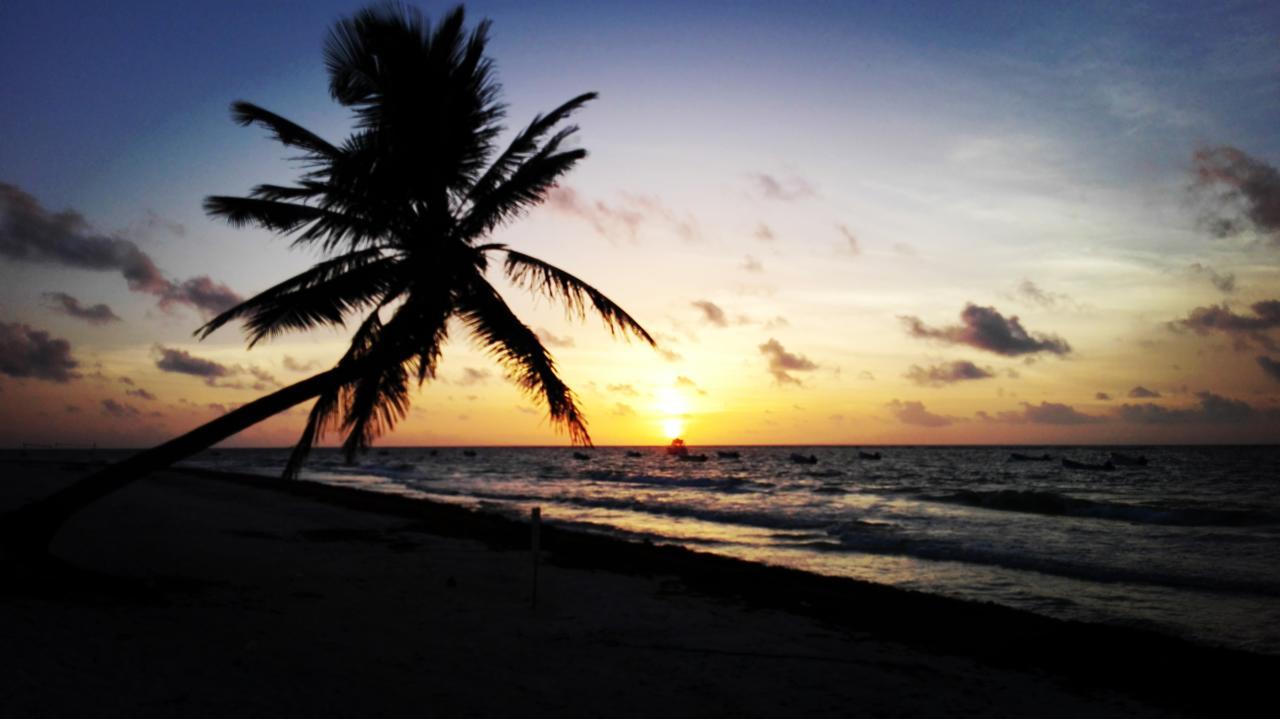 Alojamento Eco *