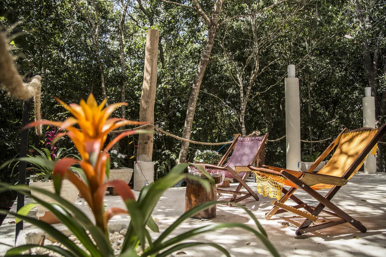 Bed and breakfast La Selva Mariposa *