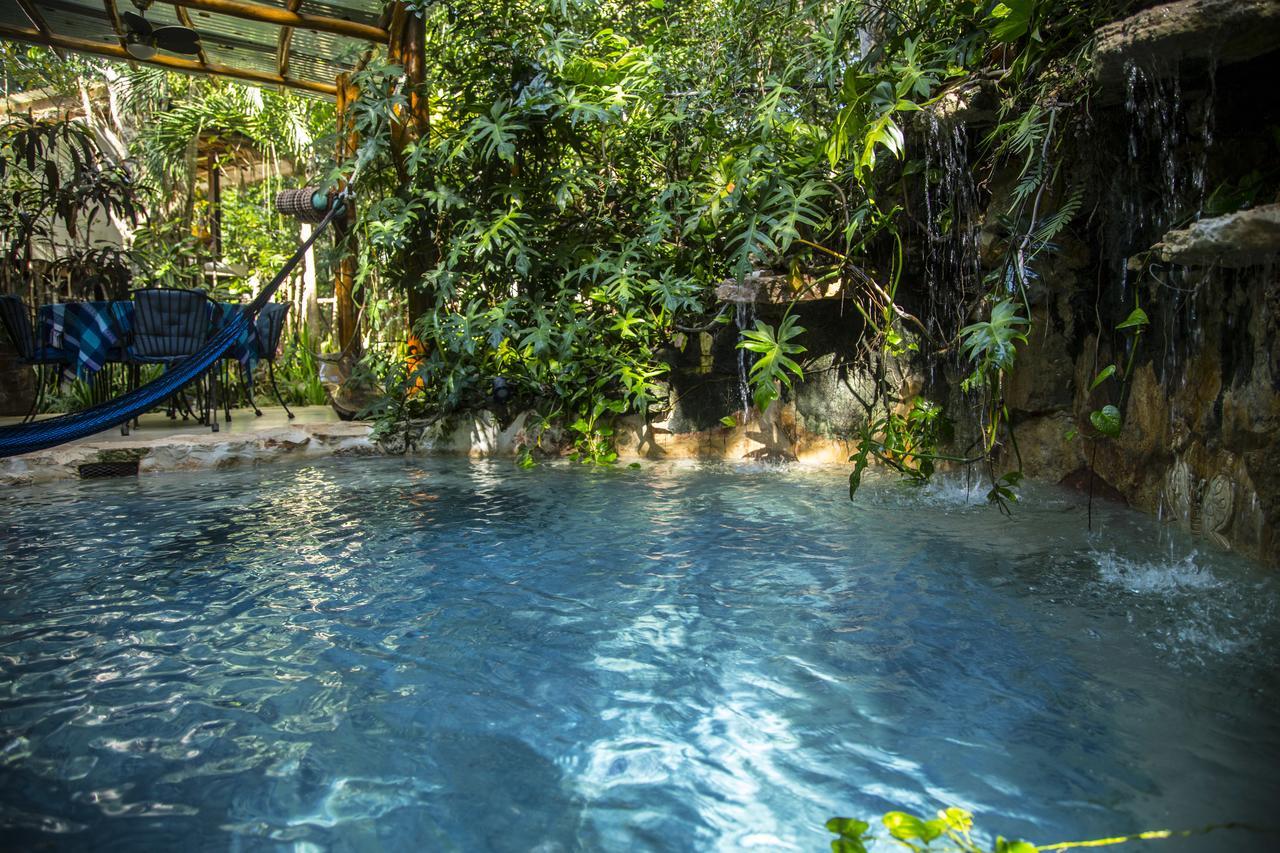 Bed and breakfast La Selva Mariposa *