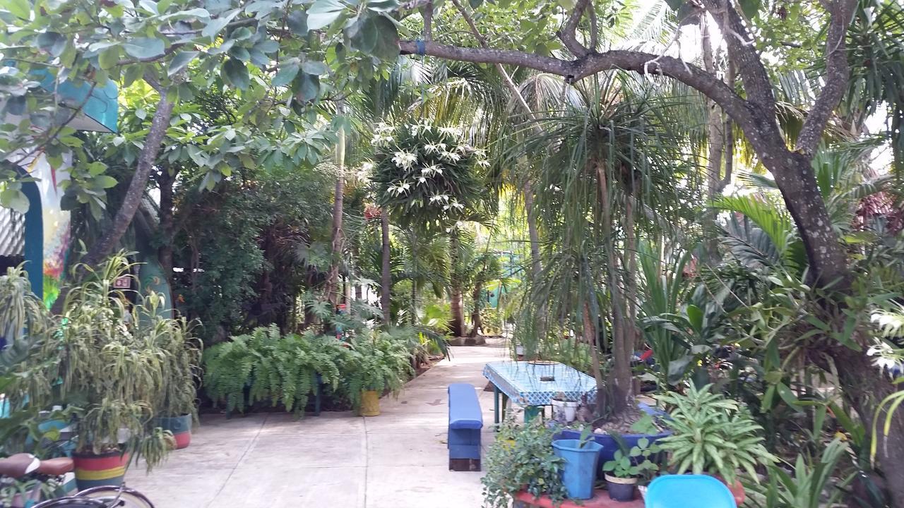 Rancho Tranquilo Albergue