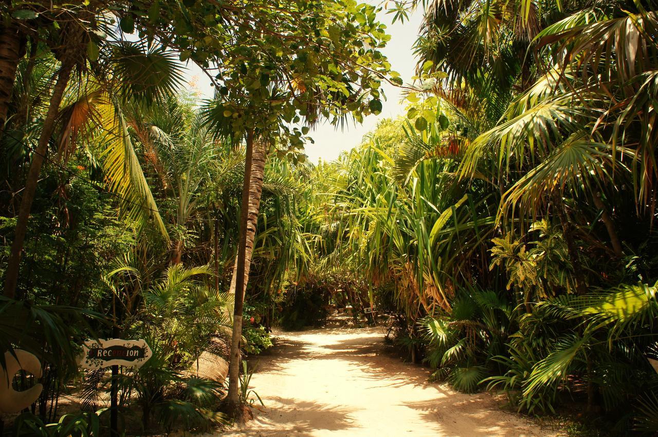 Cabanas La Luna Hotel