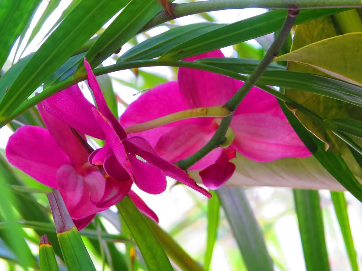 Hotel Xibalba Dive Center Tulum