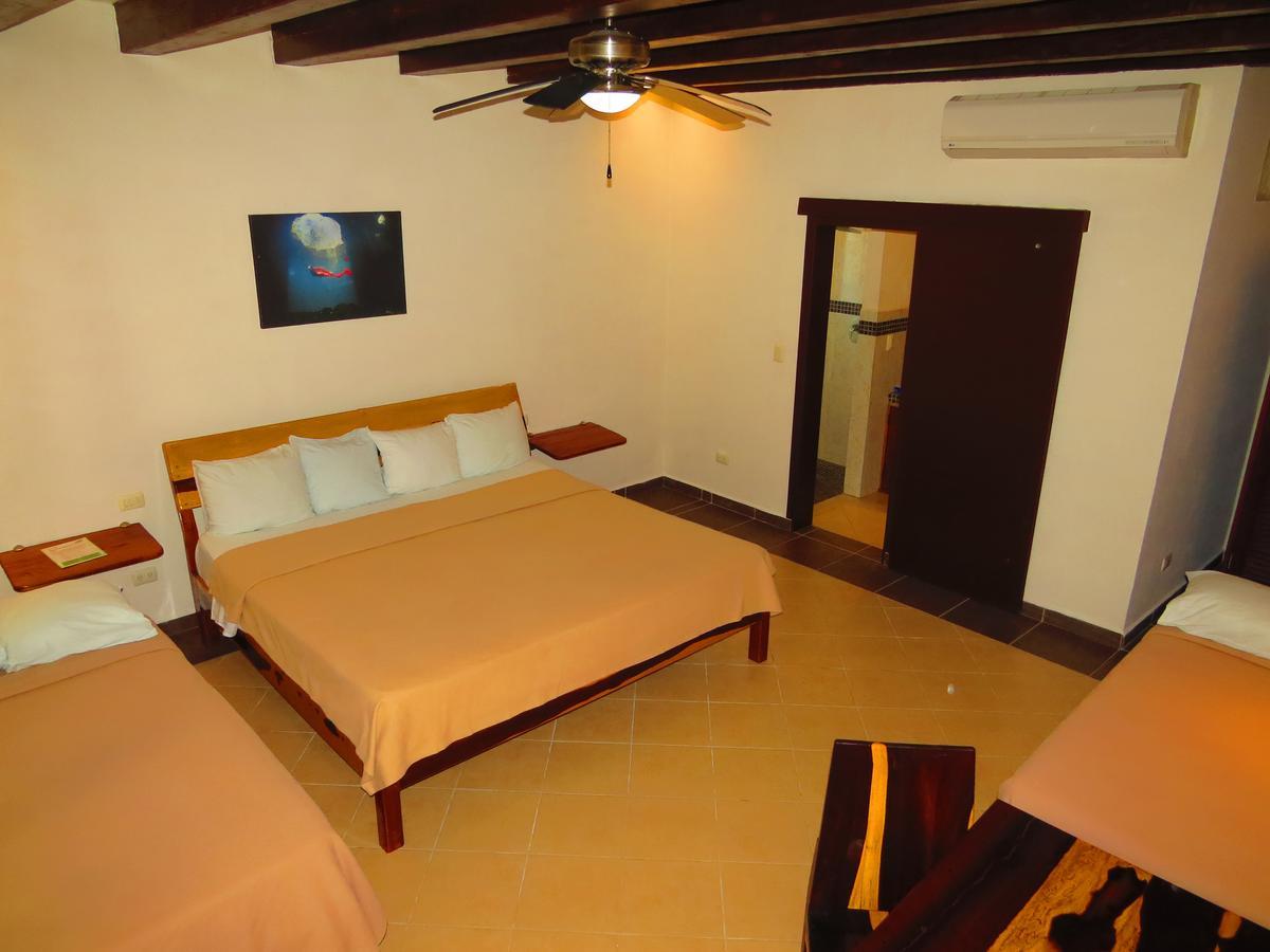 Xibalba Dive Center Hotel Tulum