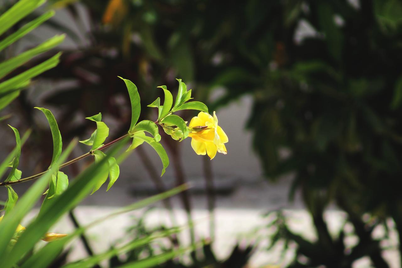 & Cabanas Zazil Kin 2*