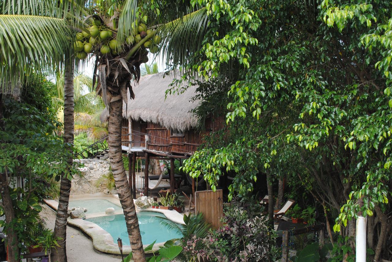 Hostel Lobo Inn Tulum Tulum