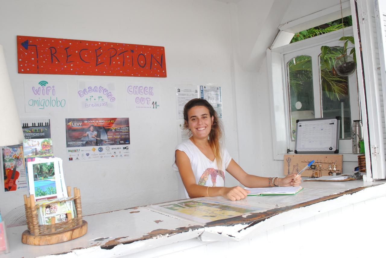 Lobo Inn Tulum Hostel *