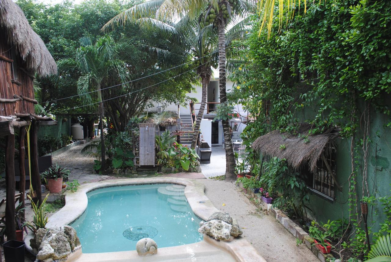 Lobo Inn Tulum Hostel *