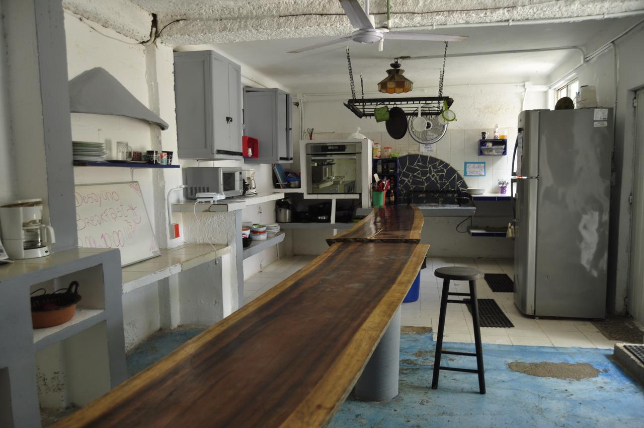 Lobo Inn Tulum Tulum