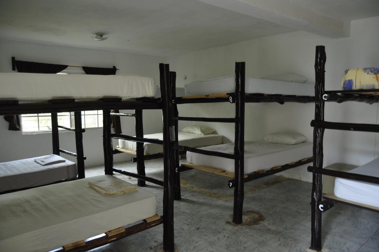 Lobo Inn Tulum Hostel *