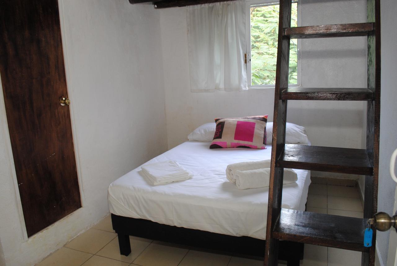 Lobo Inn Tulum Hostel