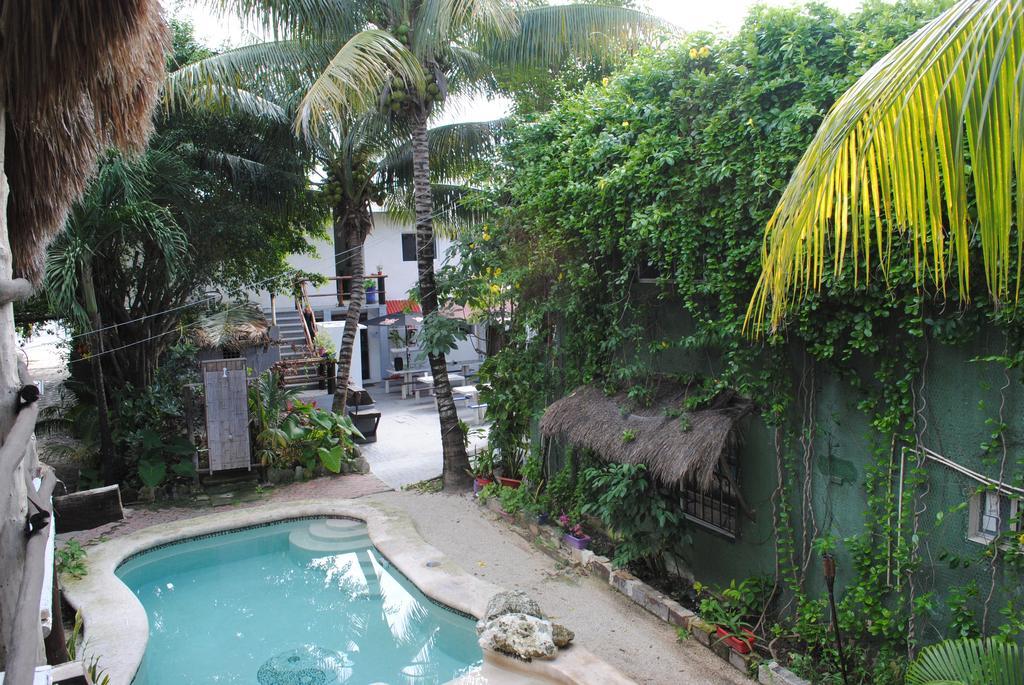 Hostel Lobo Inn Tulum Tulum