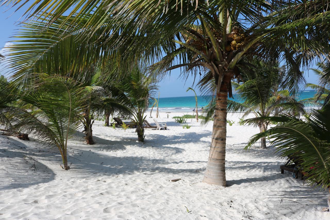 & Cabanas Zazil Kin Hotel 2*