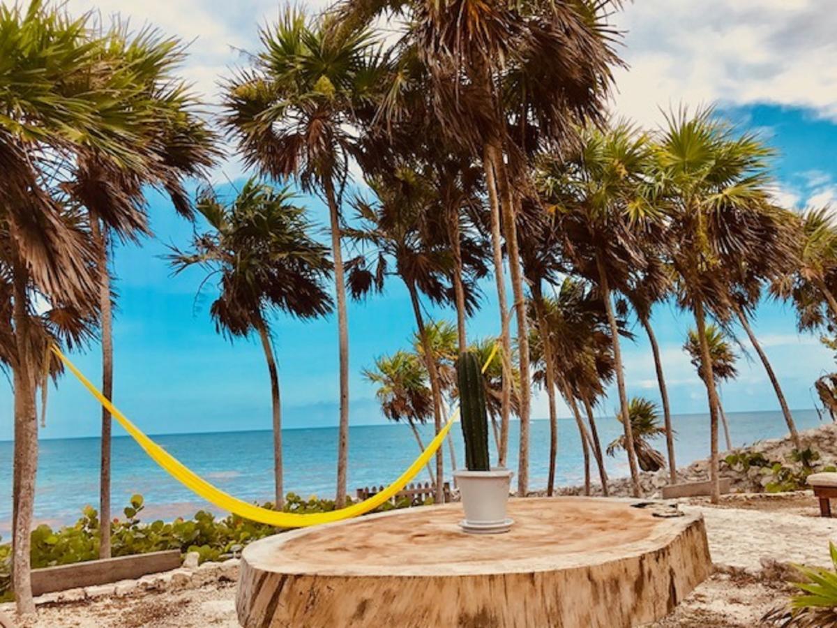 Casa Emily - Oceanfront House In Tulum! Tulum