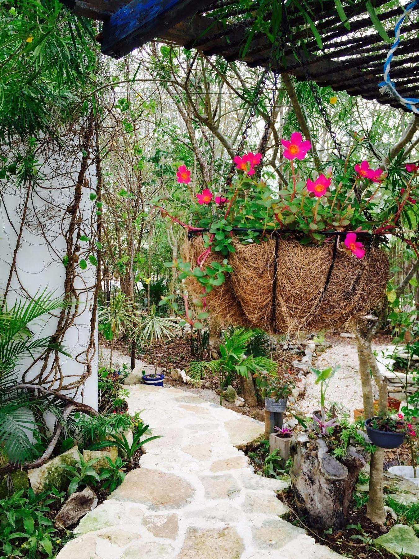 Apartment Casa Chachalaca