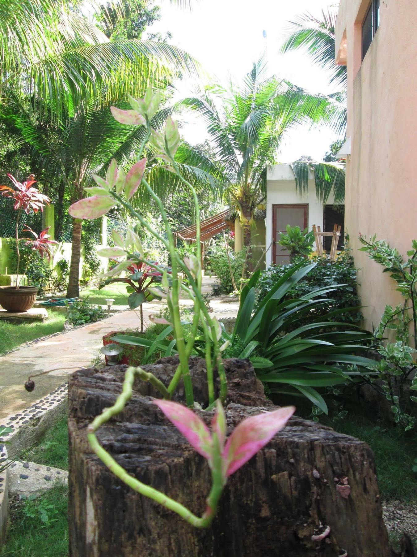 Zenaliza Bed & Breakfast 3*