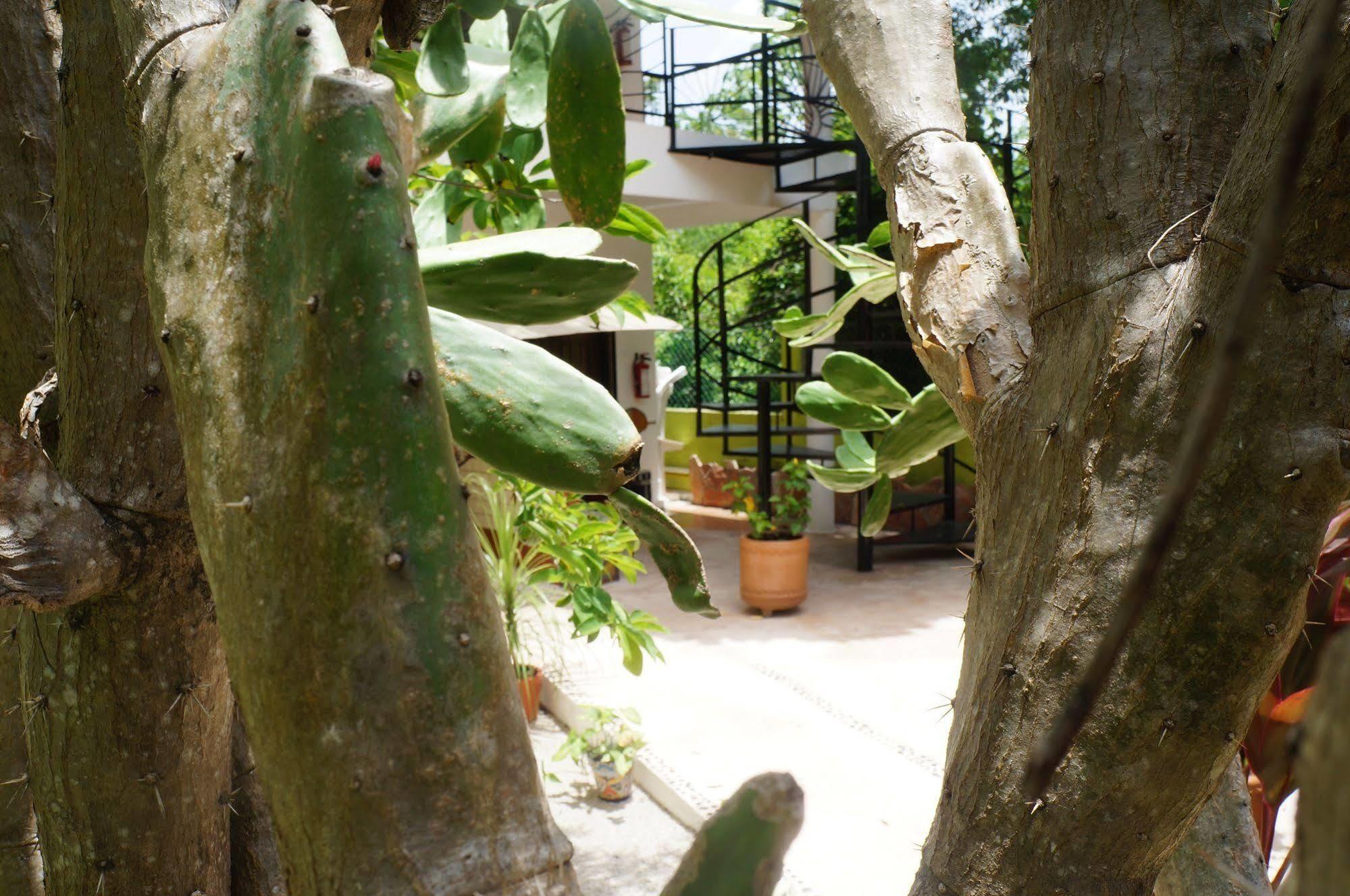 Bed & Breakfast Zenaliza