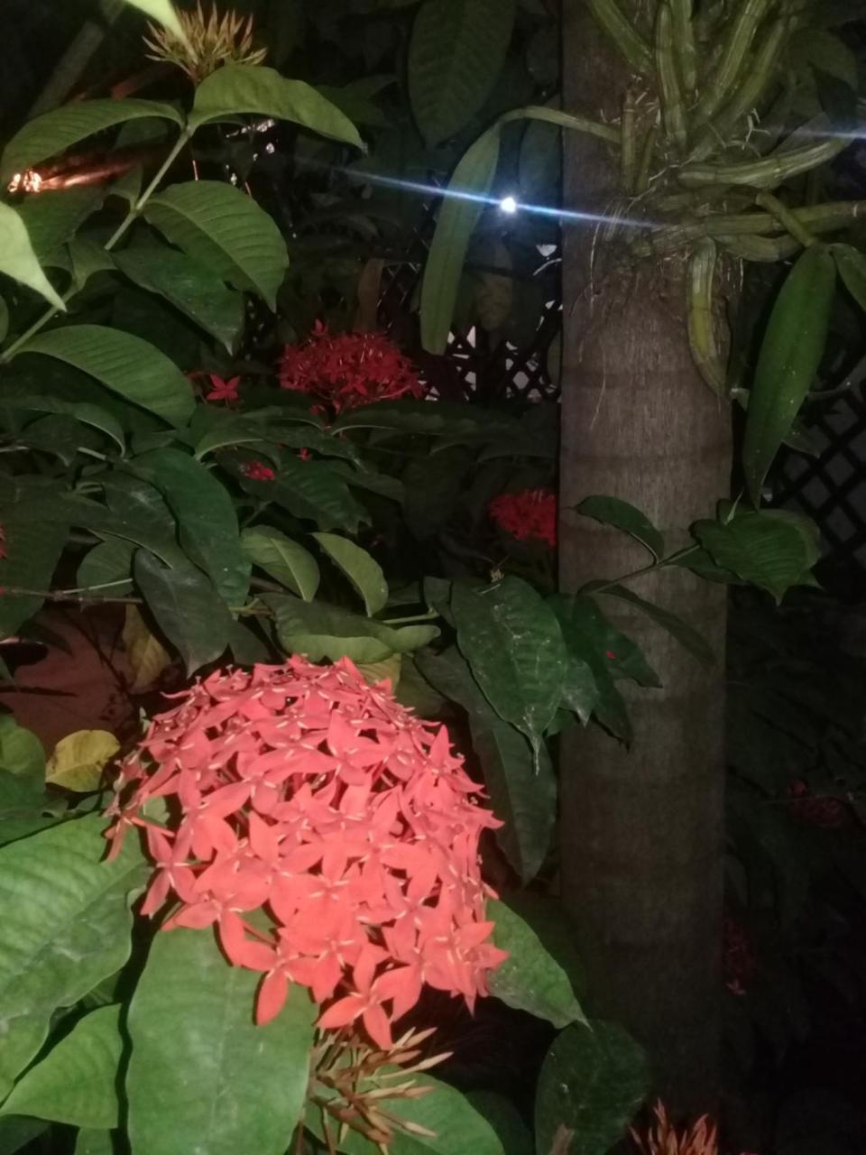 Albergue Rancho Tranquilo *