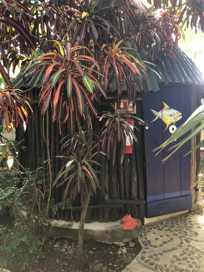 Albergue Rancho Tranquilo *