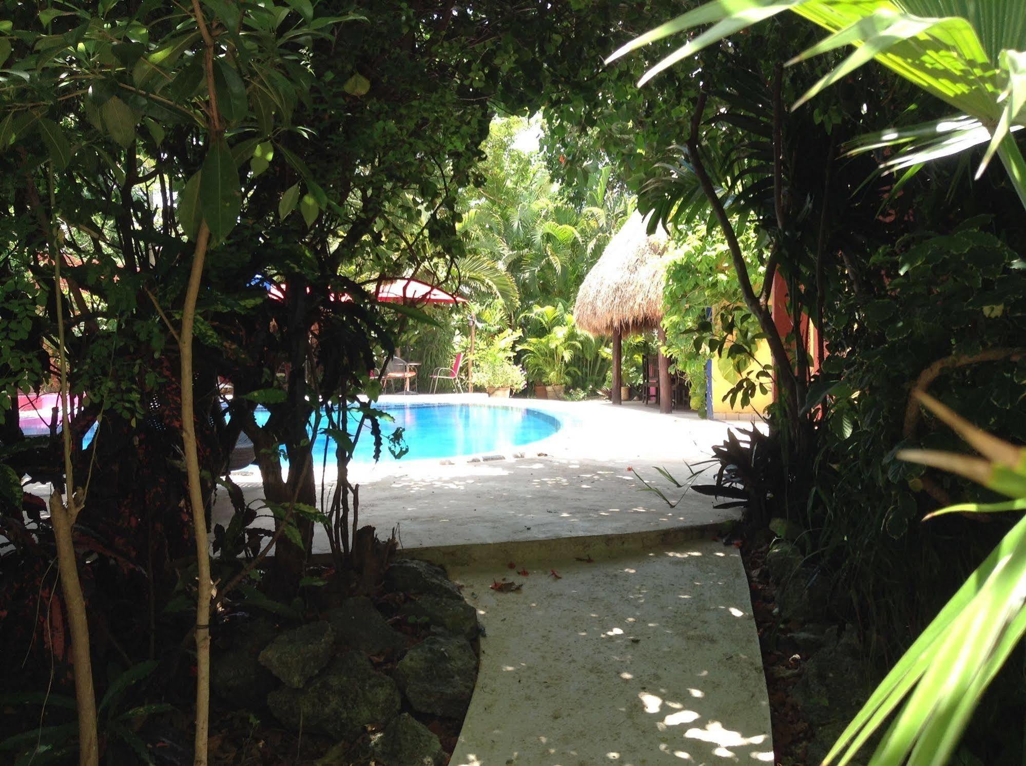 Bed & Breakfast Casa Don Diego