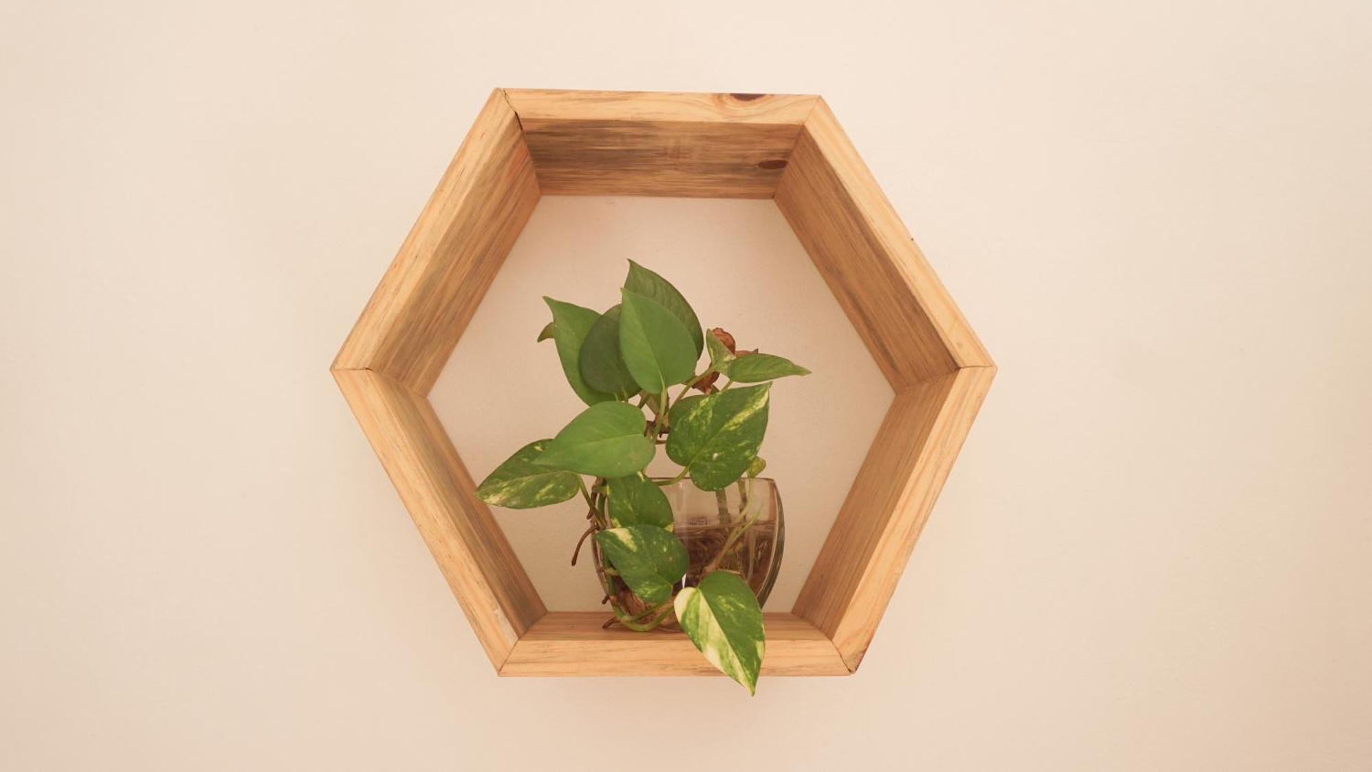 Amorcito Corazon & Hotel *