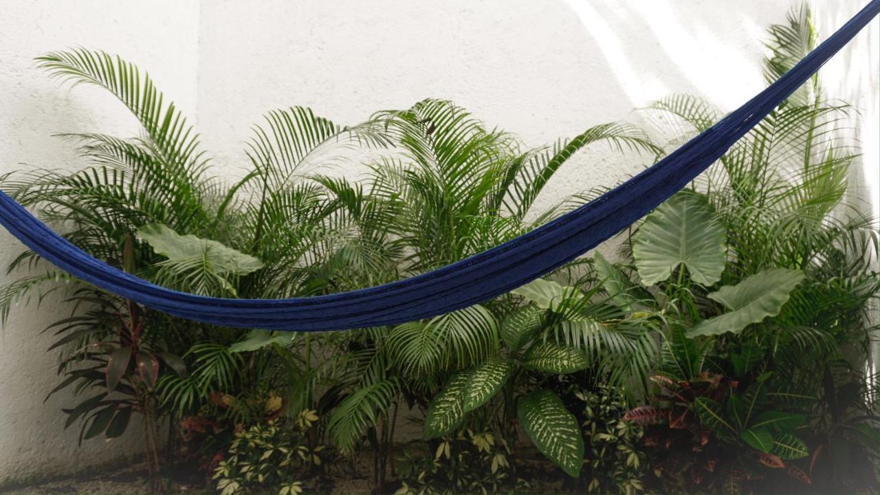 Hotel Amorcito Corazon & Tulum