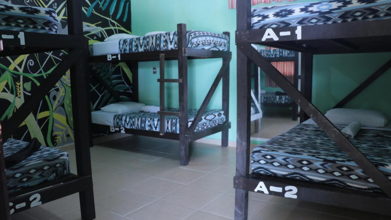 Charlys Hostel