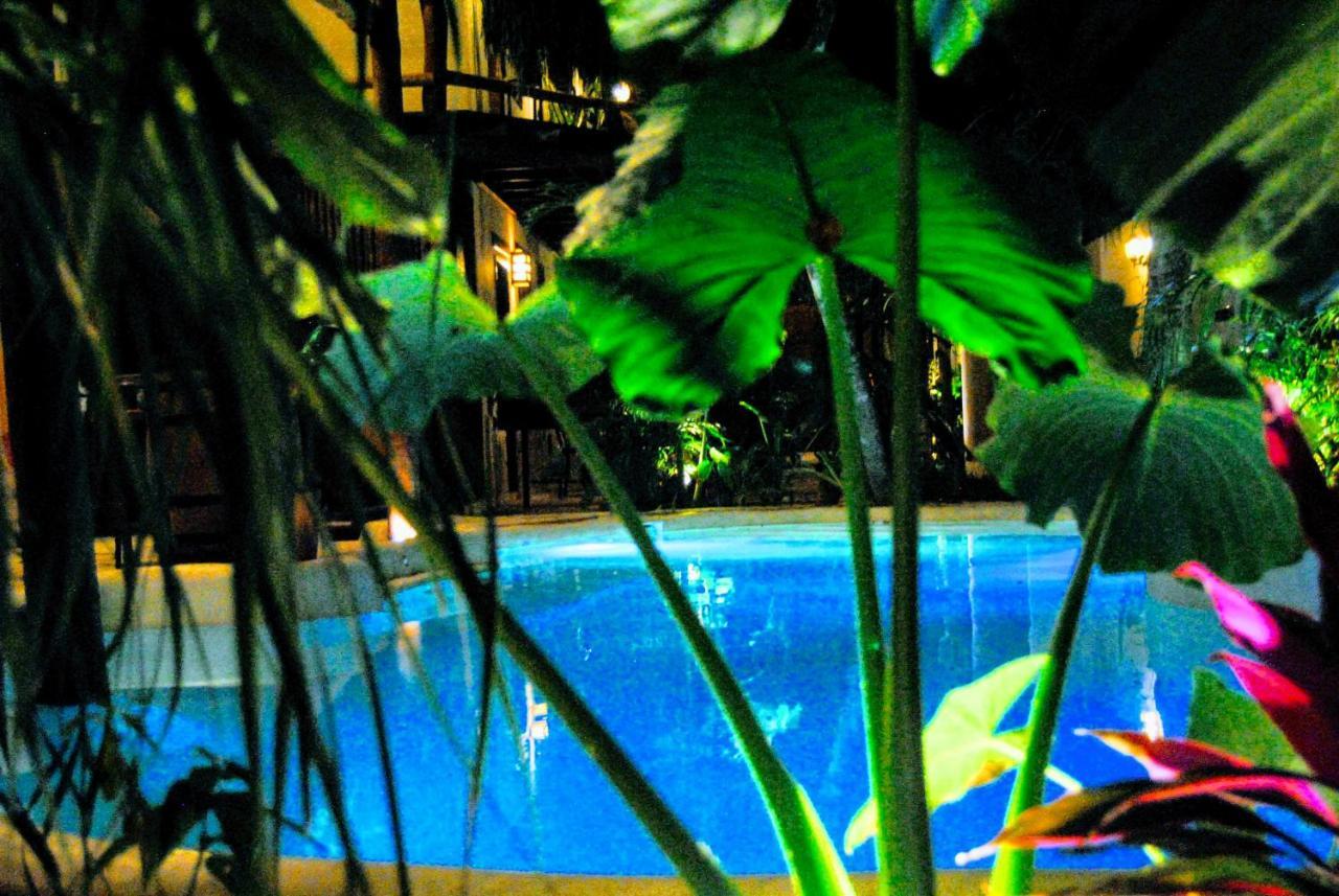 Boutique Terranova Hotel