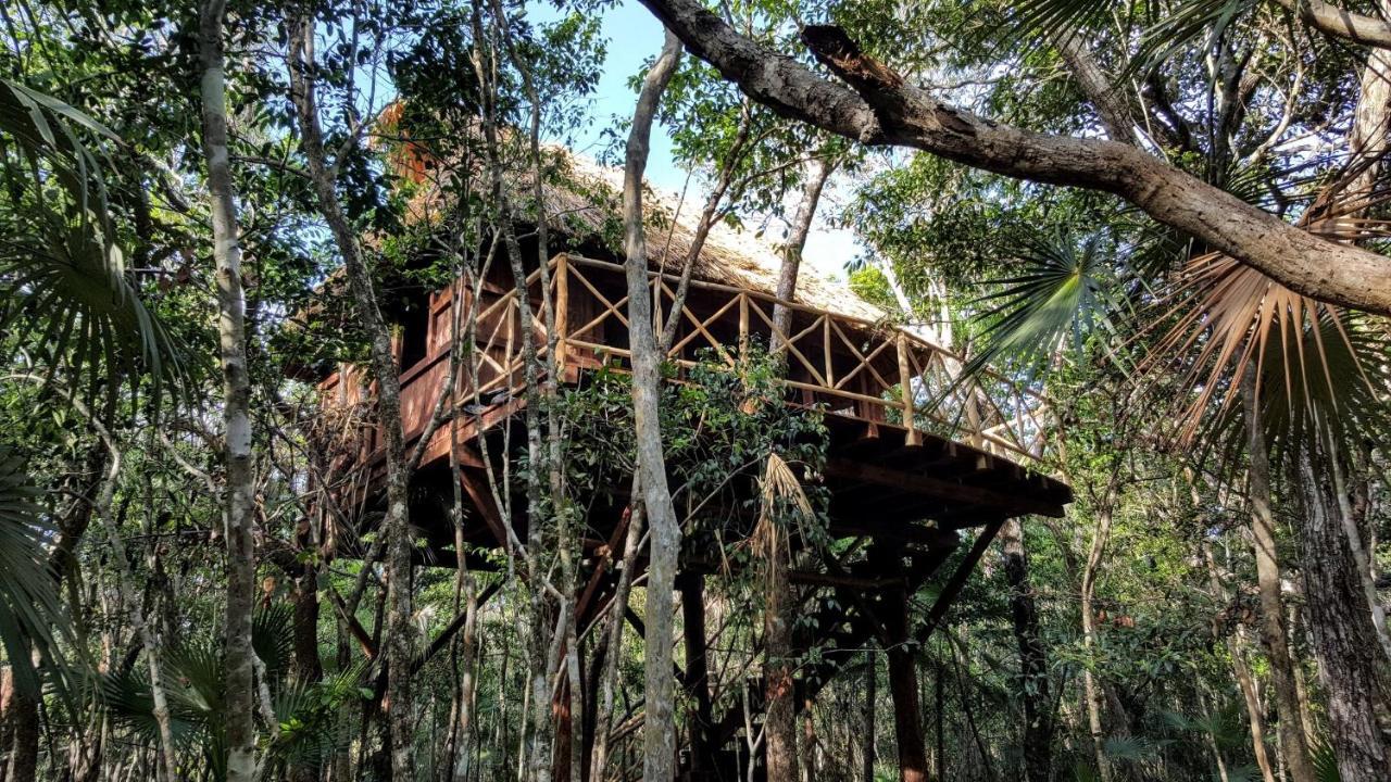 Ajal Tree House 4* Tulum