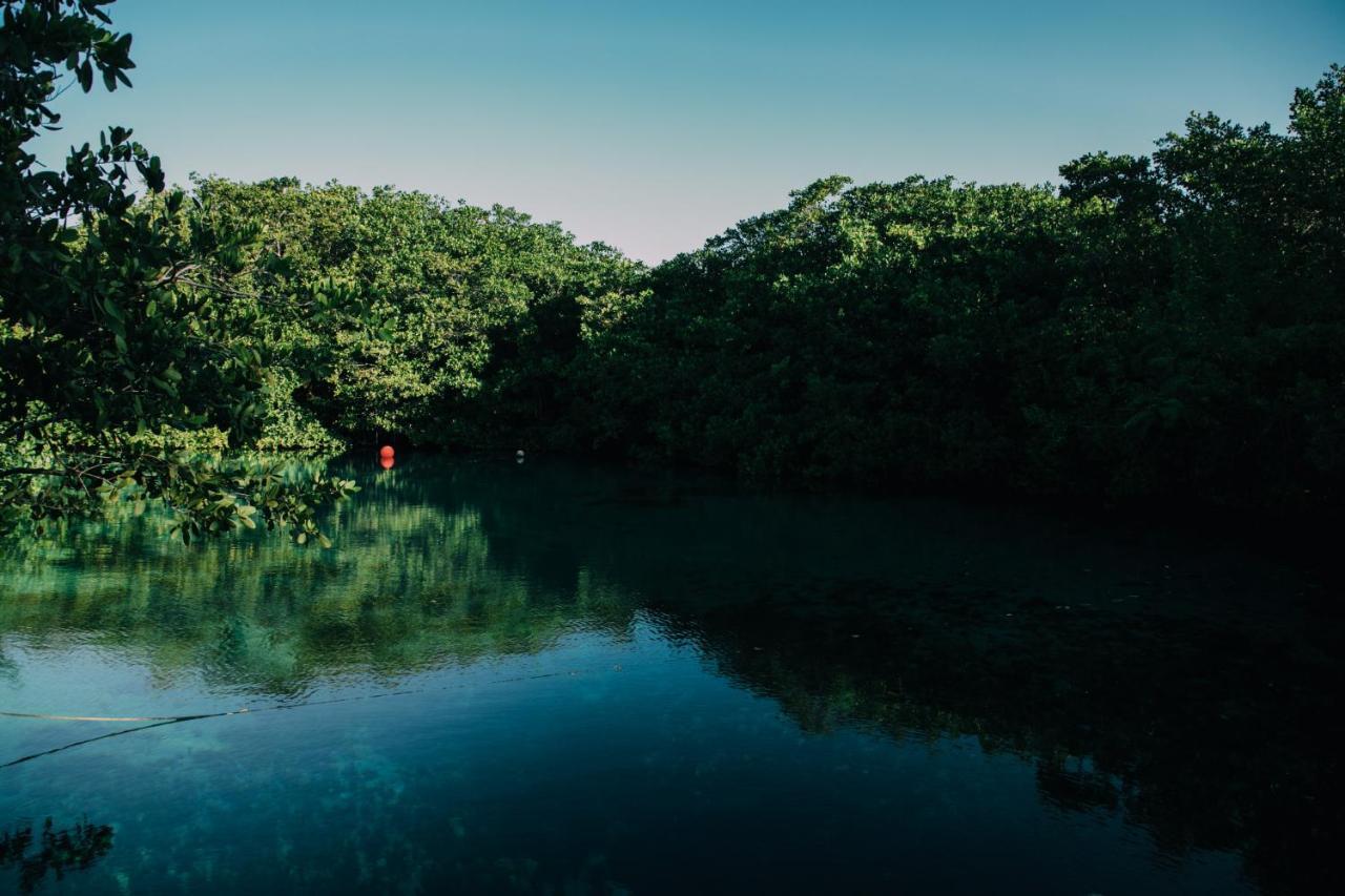 O' Riviera Maya (adults Only) Hotel 5*