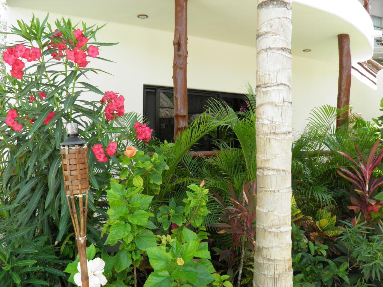 Tua Tulum Apartments Large Comfortable Pool Parking Space *