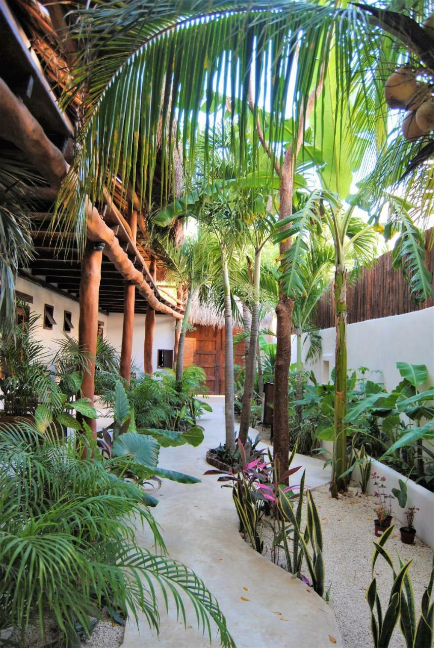 Hotel Boutique Terranova 3*