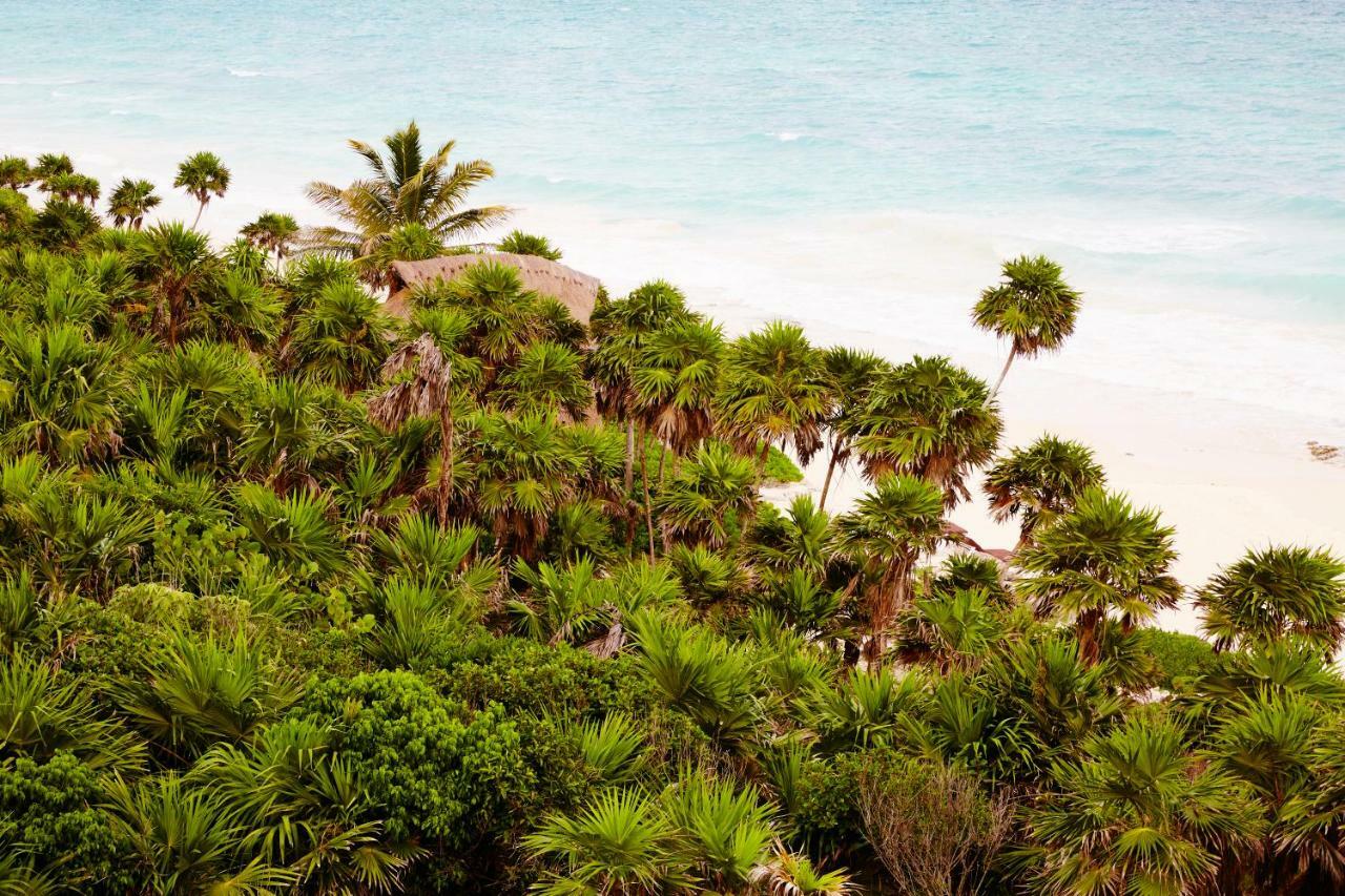 Hotel Papaya Playa Project, Tulum, A Member Of Design Tulum