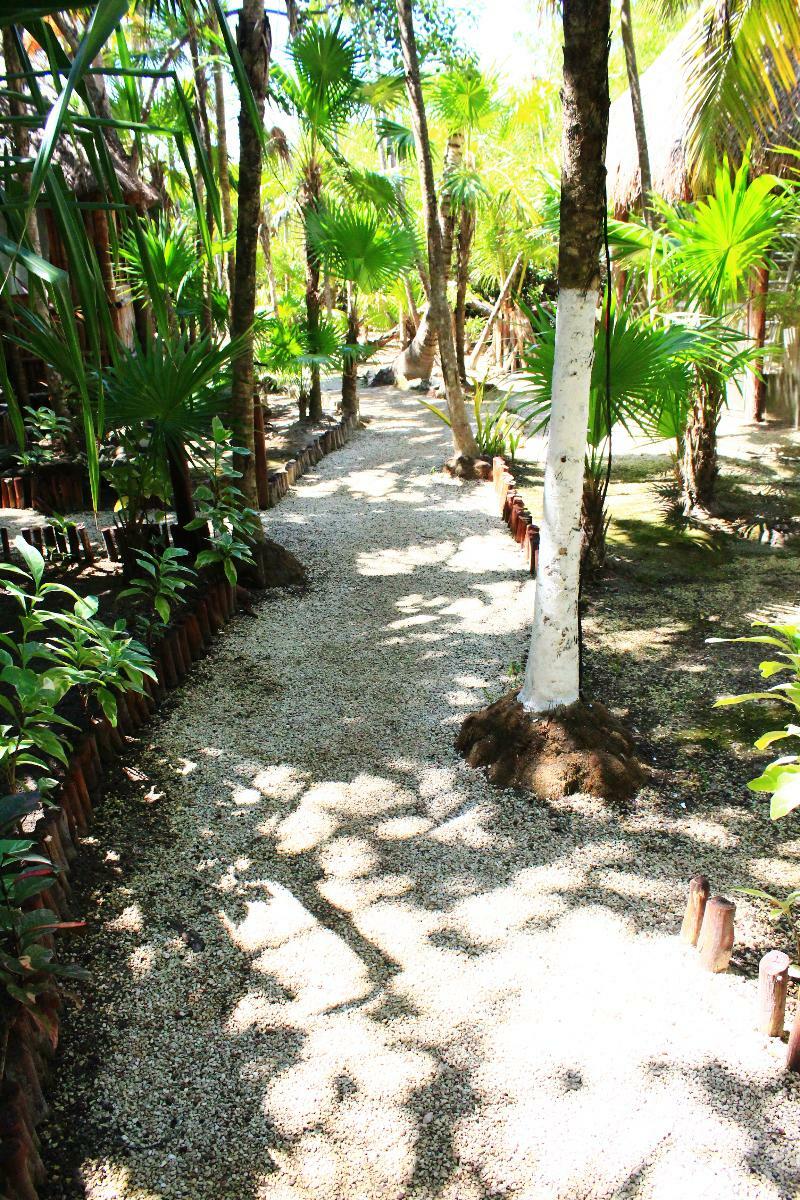 Hotel Maya Y Cenote Tulum