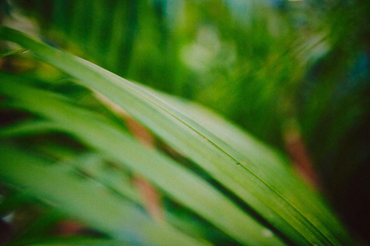 Casa Altamar 2* Tulum