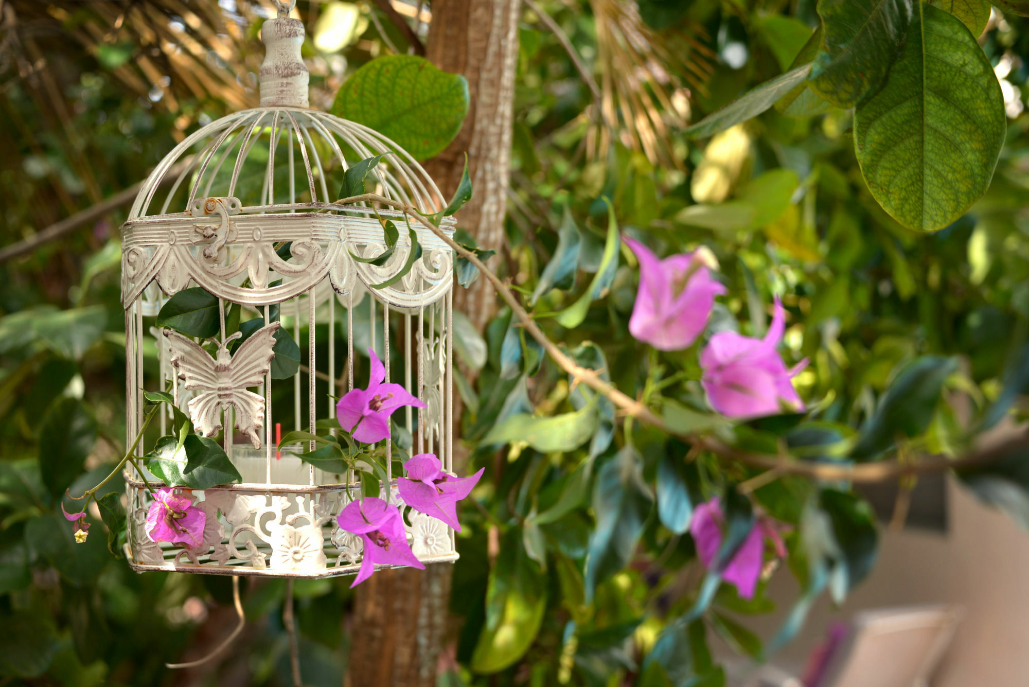 Geminis Boutique Condohotel