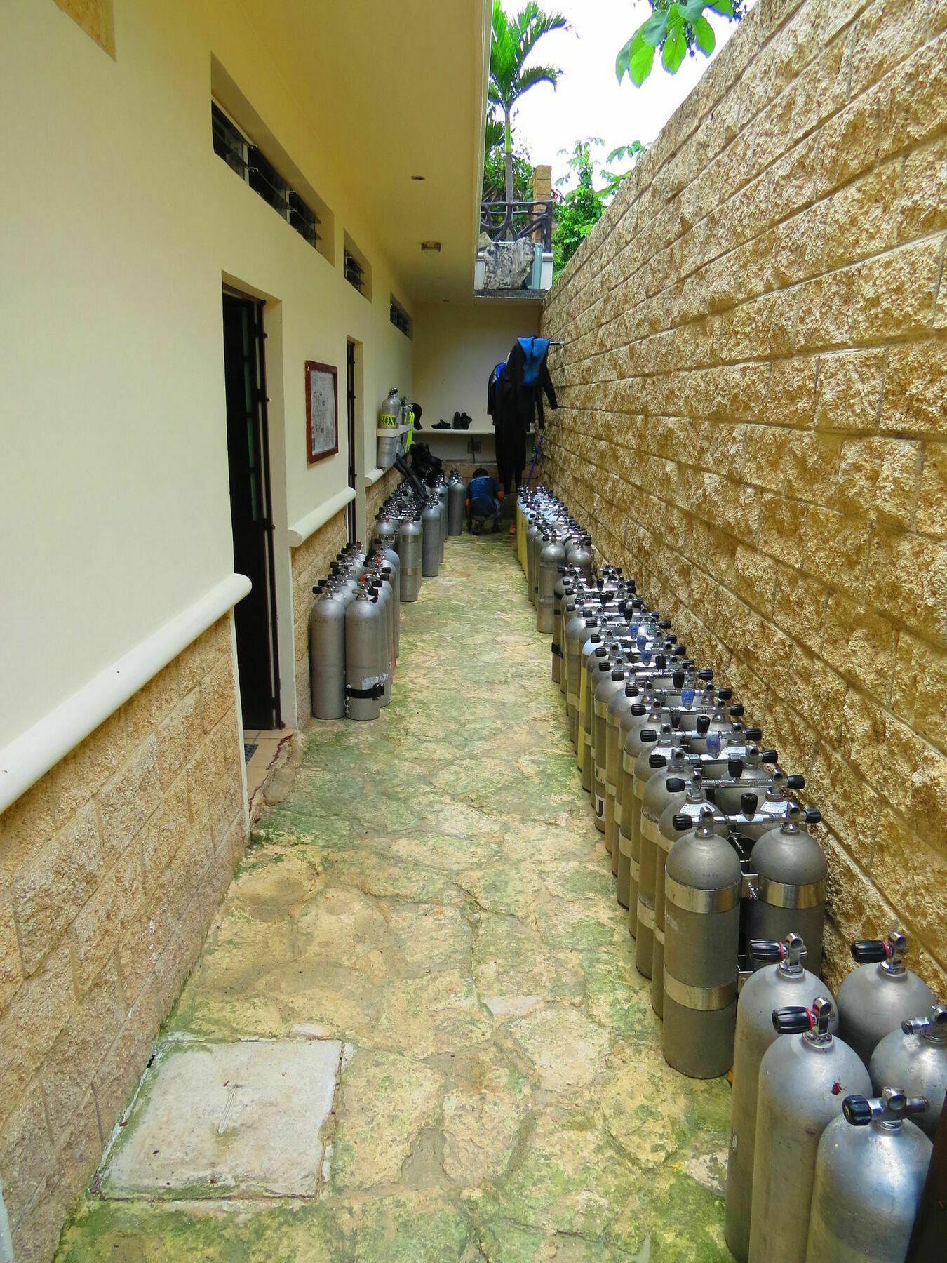 Xibalba Dive Center Hotel Tulum