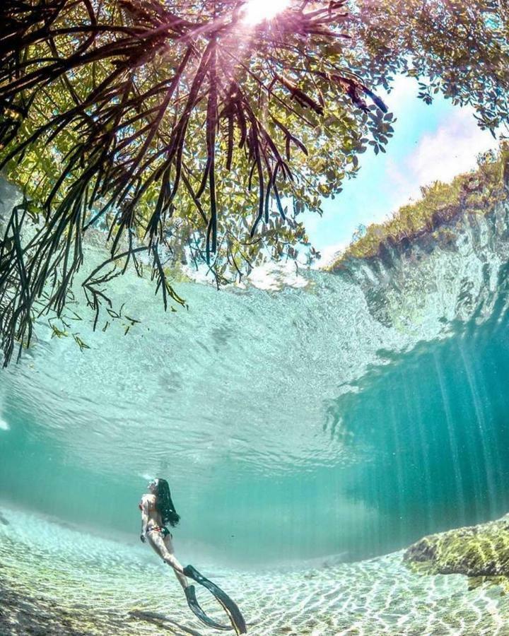 Maria Del Mar Tulum - Adults Only 4*