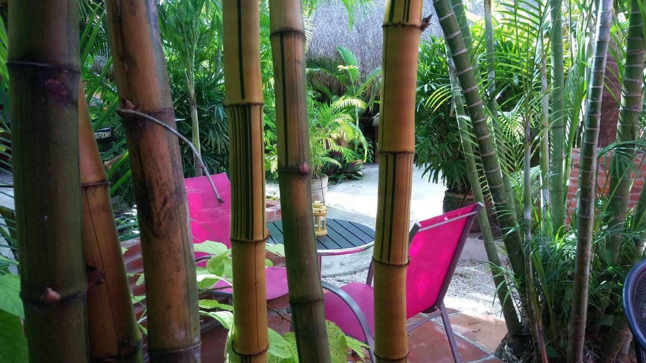 Bed & Breakfast Casa Don Diego