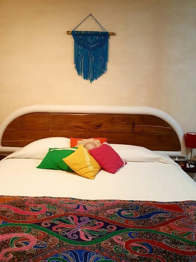 Bed & Breakfast Casa Tzalam Selva 3*