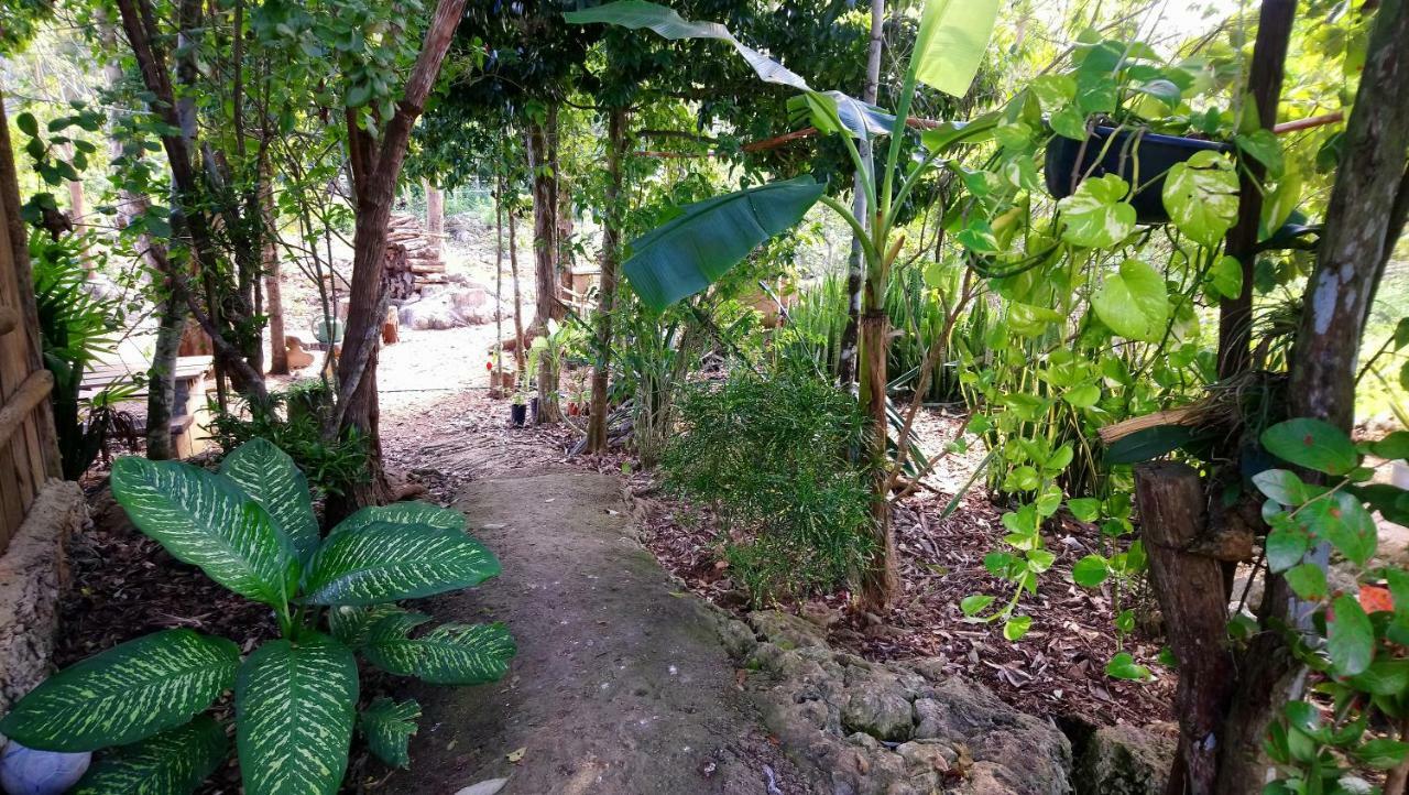 Casa de férias Jungle Oasis *