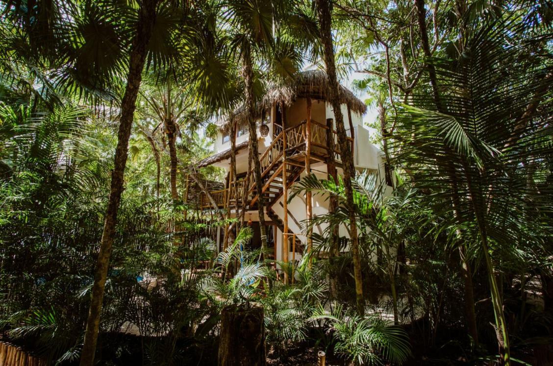 Villa Beachfront Casa 8 *