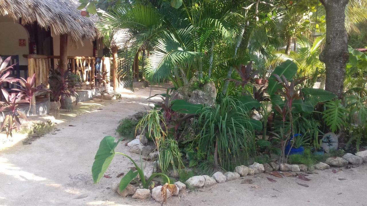 Zamunda Garden View Inn 2*