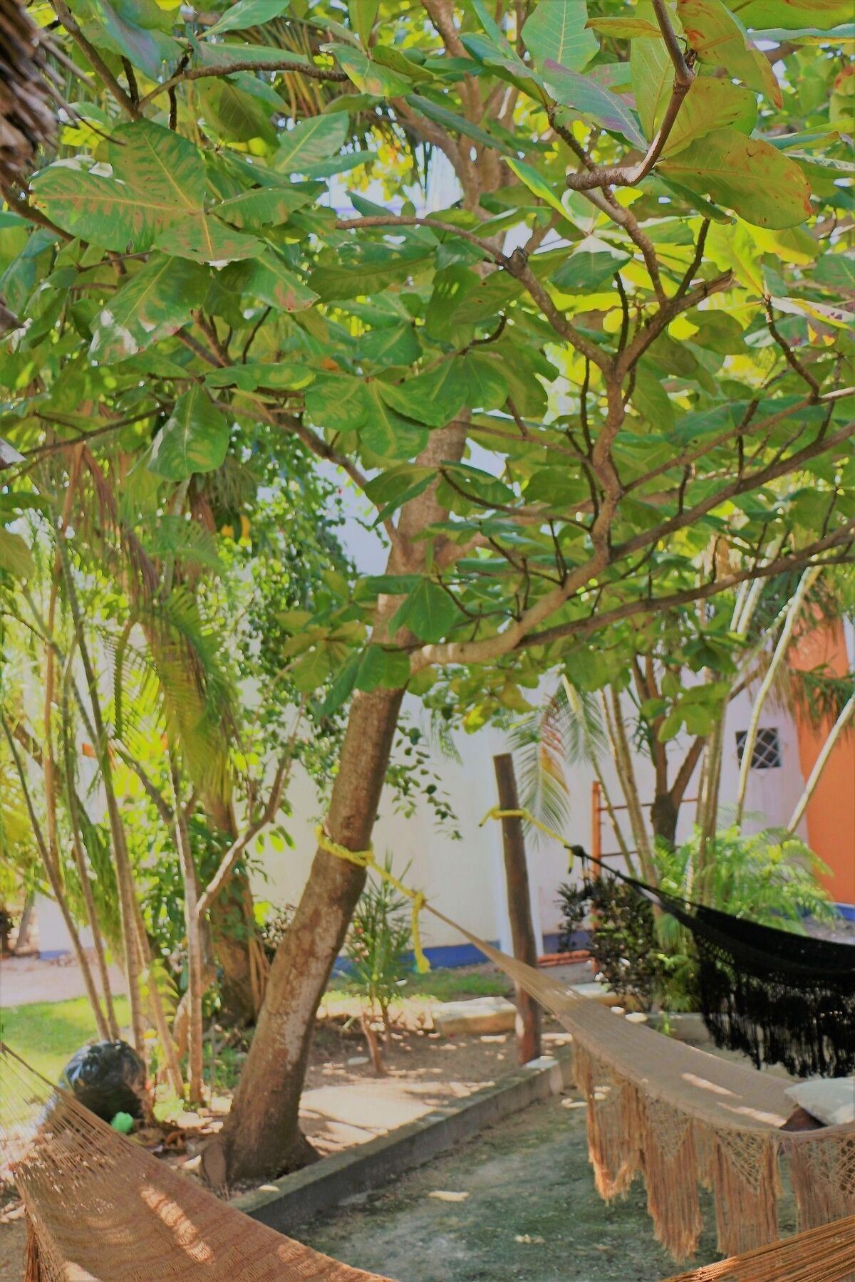 El Capitan Guest house 3*